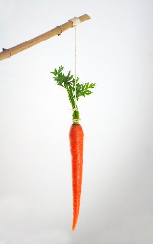 ilustração - cenoura numa vara
