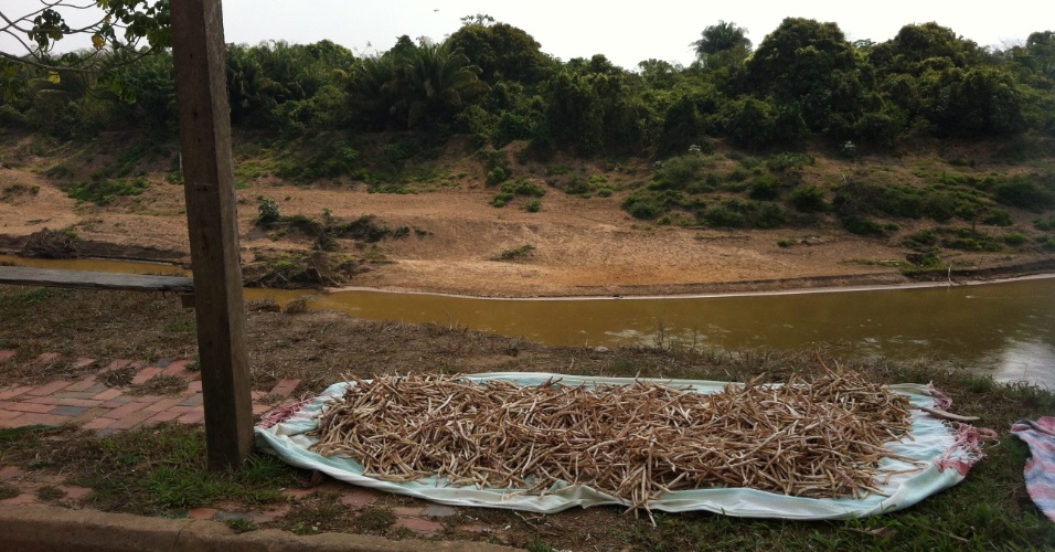 21.set.2012 - Vagem é posta para secar nas proximidades do rio Xapuri, em Xapuri (AC)