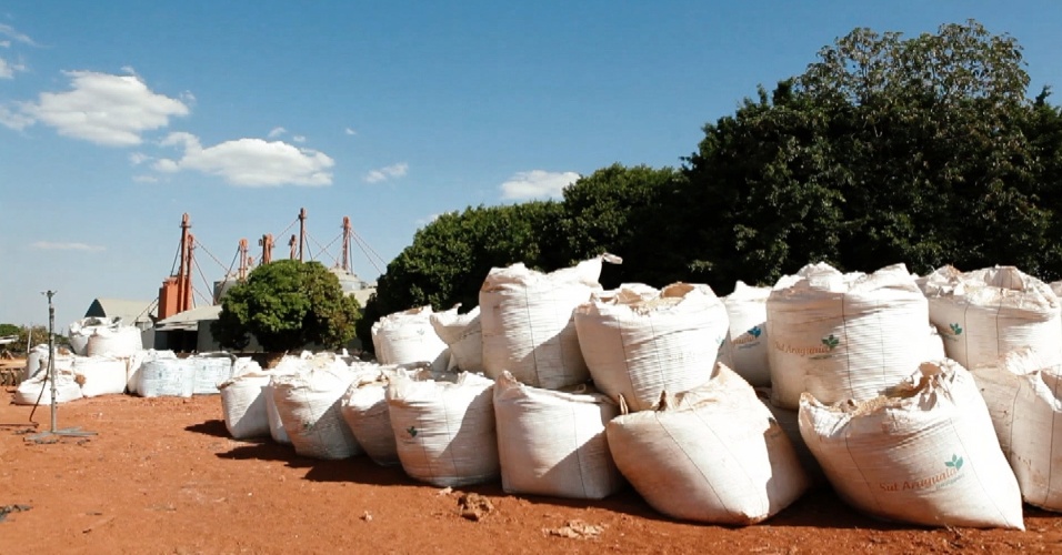 Sacas de grãos em uma empresa em Sorriso (MT)