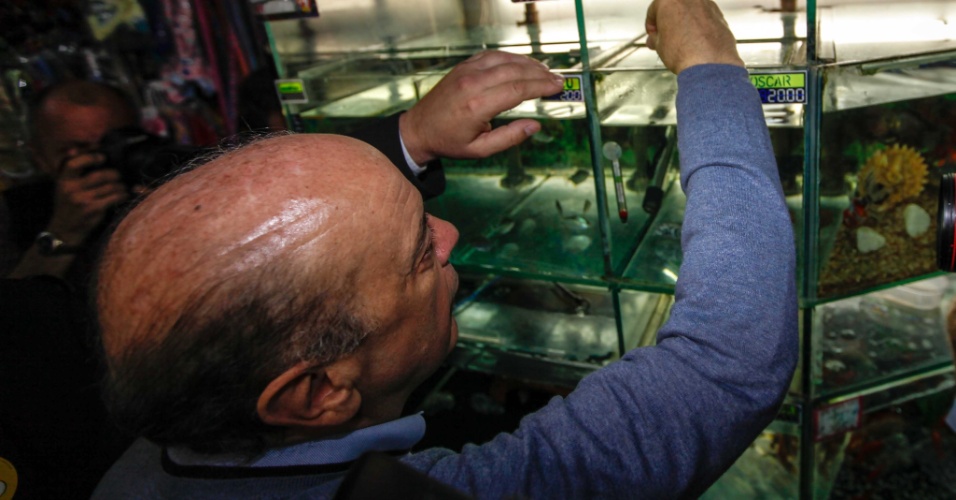 25.set.2012 - José Serra, candidato do PSDB à Prefeitura de São Paulo, alimenta peixes em aquário noMercado Municipal do Sapopemba, região leste da capital 